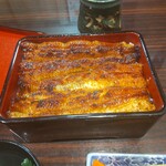 うなぎ 魚政 - うな重、ブランドうなぎ 特上