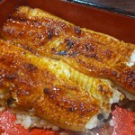 うなぎ 魚政 - うな重、ブランドうなぎ 特上