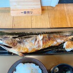 産直さばと青魚 伏見あおい - 大トロ鯖塩焼き