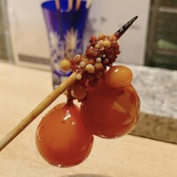 始祖鳥 - ちょうちん