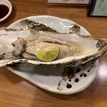 旬の魚と旨い酒 山田食堂 - 
