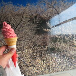 道の駅 みなべうめ振興館 - 