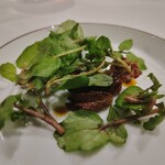 MOTOI - 山鳩のモモ肉のサラダ