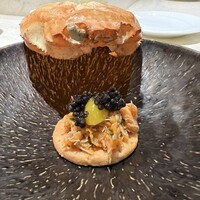 ダルマット 六本木ヒルズ店 - 