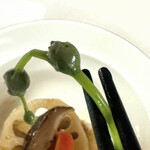 藤よし - 山菜のミズ