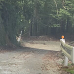 平家荘 - 平家荘への道２