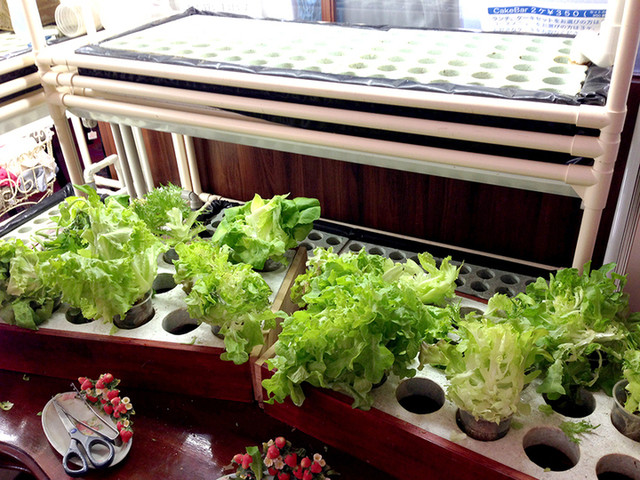 French Ryori Kurokawa photo 3