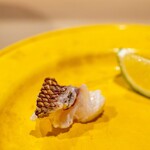 うを徳 - 2023.9 明石の鯛湯引き