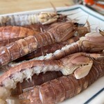 まるは食堂旅館 - 追加でシャコ。