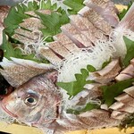 居酒家 匠 - 松コース
"鮮魚の姿造り"