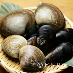 Sanriku Izakaya Isaribi - 鮮度の良い魚介ならではの、やみつきになるおいしさ