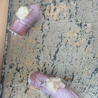 SUSHI TOKYO TEN、 六本木店 - 