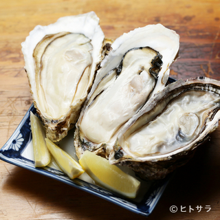 Sanriku Izakaya Isaribi - 大粒で食べ応え十分。濃厚な海のミルクを味わえる『生牡蠣』