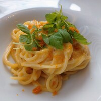 IL PINOLO 梅田 - カラスミパスタ