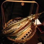 炉端美酒食堂 炉とマタギ - 