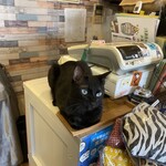 猫まるカフェ - 
