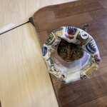 猫まるカフェ - 