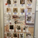 猫まるカフェ - 