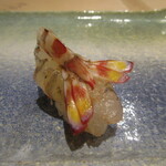 Sushi Kappou Kuroshio - 