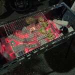 ザイカ・カレーハウス - 