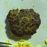 ザイカ・カレーハウス - 