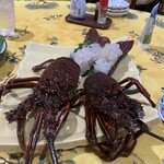 ぽんと丁 - 