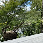 カフェ モーツァルト アトリエ - 