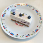 パティシェリア - ブルーベリーのレアチーズケーキ