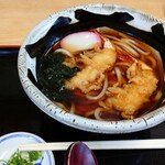 藤屋総本家 - 料理写真:天ぷらうどん 950円