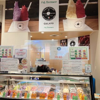 Hare Terrace Honten Karuizawa Psp Fodcort Ten