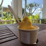 Ikemajima gelato cafe Ninufa - 