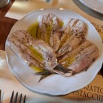 トラットリア イル ピスタッキオ - 前菜〈イワシのマリネ〉