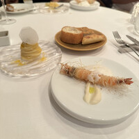 サーラ アマービレ - 