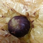 たねや - 栗こみち