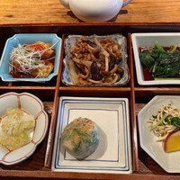 雪梅花 菜根譚 - 