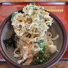 Shouneya - かきあげぶっかけうどん 冷 1023円