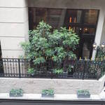 二階からの眺め