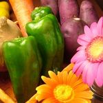 クローバー - 毎日仕入れる新鮮国産野菜　お酒にピッタリの全25種の料理。季節によって変わる、素材を活かした創作料理がラインナップ！