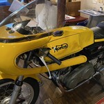 ユーケー ワイルドキャッツ - 