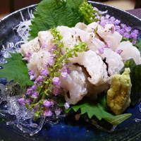京料理 かじ - 鱧　白焼