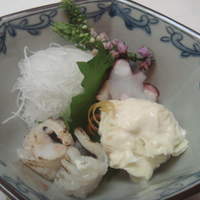 先斗町ふじ田 - 