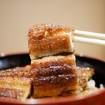 Sumiyaki Unagi Kawafuji - 表面は綺麗にタレを纏わせて焼かれ、その纏わりつく甘辛さが無性に美味しい！