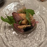 コウジイガラシ オゥレギューム - 