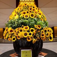 オールデイダイニング リモネ(リーガロイヤルホテル大阪) - 