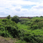シャムロックカフェ - 店舗は桜川のほとりにあり、