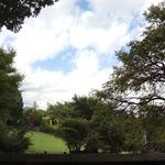 気ままな時間 - 窓からの風景