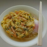 鴨池・垂水フェリー 南海うどん - 