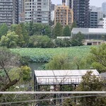 上野精養軒 本店レストラン - 