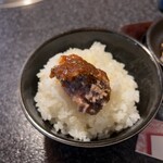 Narita Gyuutake - ご飯へ乗せる行為をしてみた