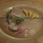 コルツ - 2013/10　蛸ともって菊